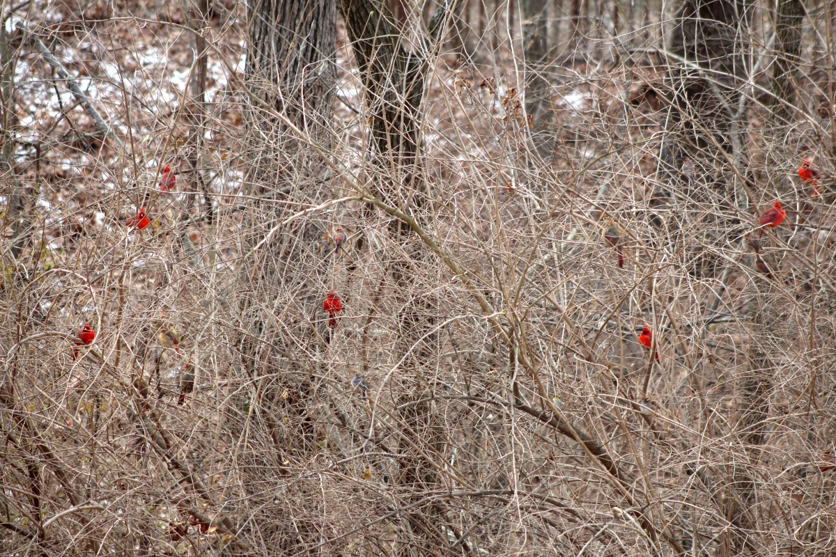 Effingham Water Authority